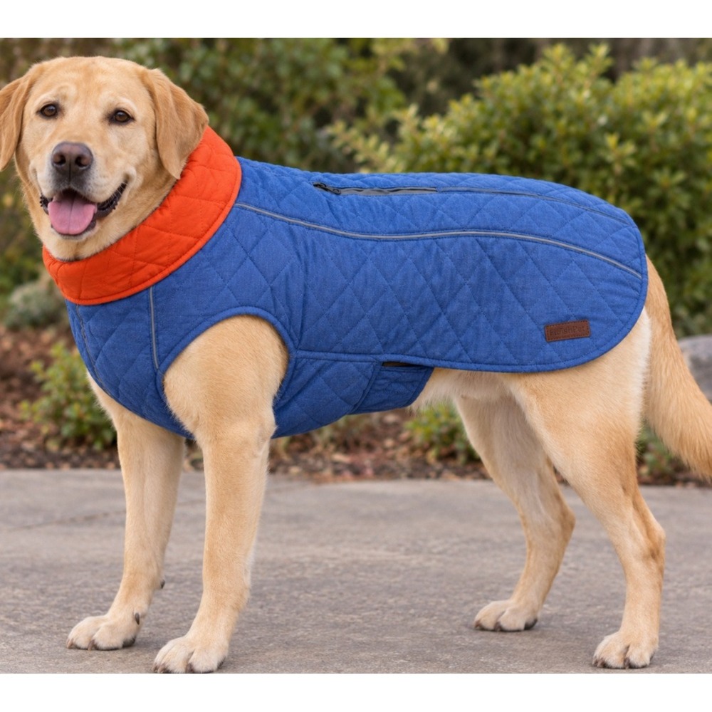 ThinkPet 3XL Quilted Dog Vest Blue Orange Reflective Harness Hole